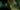 Return to Silent Hill kommer vara en film-adaptation trogen Silent Hill 2
