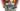 Xbox Game Pass - Maj 2025 - Part 2