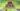 My-sims