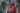 Marvels filmer sämst till bäst – MCU rankade | Filmtopp