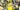 Persona 4 Revival kommer bli annorlunda upplevelse än originalet